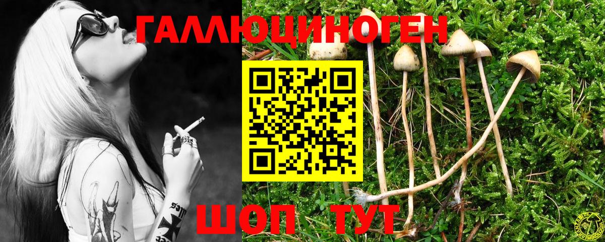 Кемерово  Псилоцибиновые грибы Cubensis  где можно купить наркотик  Вход с VPN 