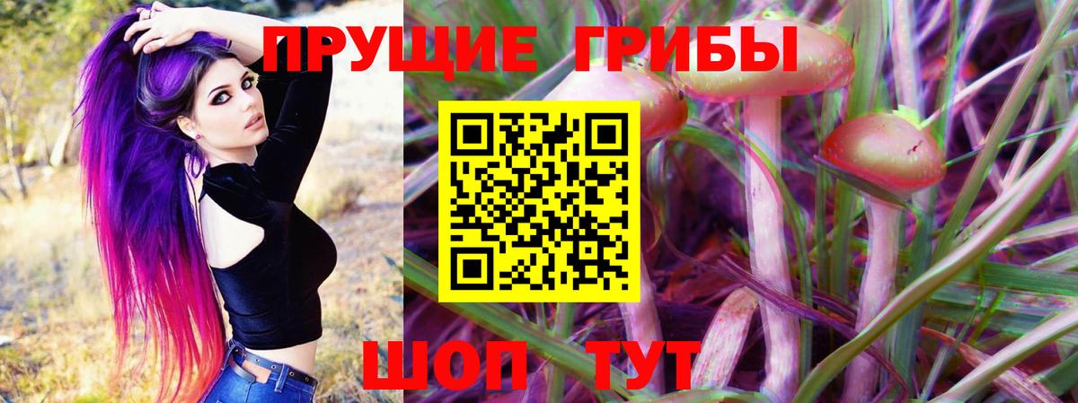 Псилоцибиновые грибы GOLDEN TEACHER Кемерово