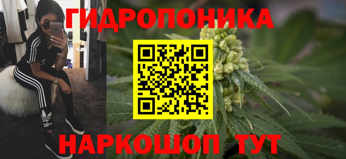 МАРИХУАНА семена Кемерово